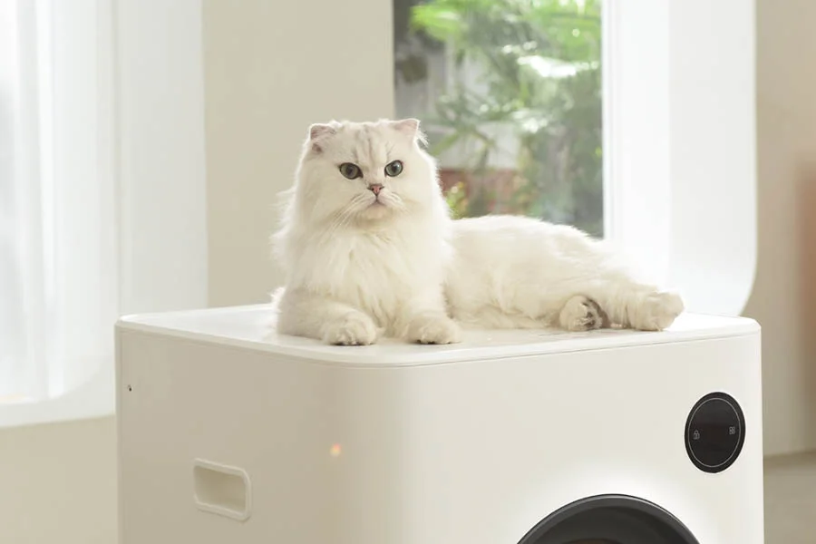 no smell litter box